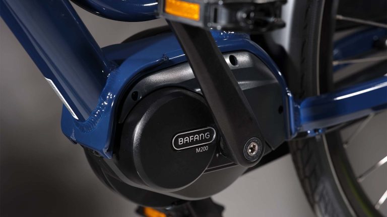 Van Dijck – Phaedra blue M200 Rollerbrake – Dames E-bike blauw 3