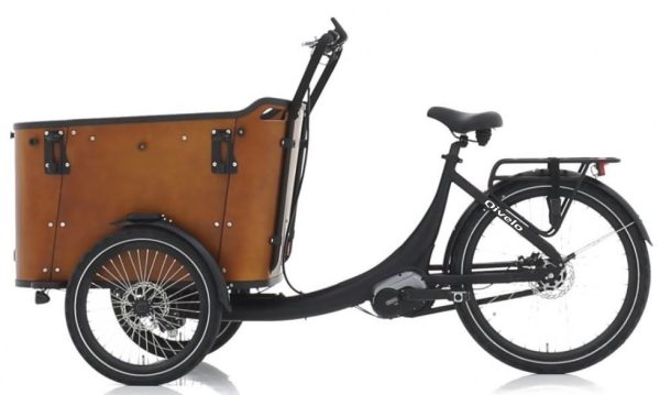 Qivelo N8 Elektrische Driewieler Bakfiets – Mat Zwart/Bruin