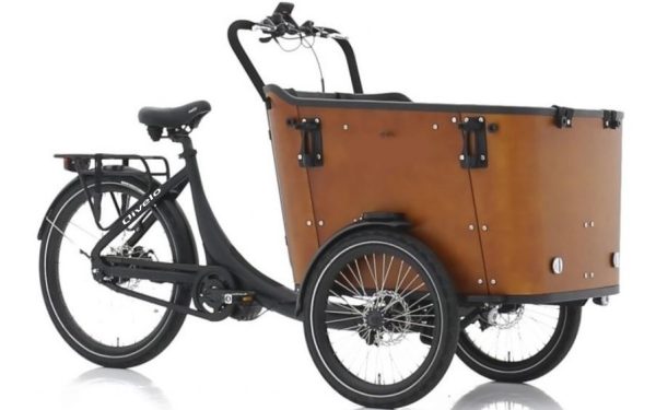 Qivelo N8 Elektrische Driewieler Bakfiets – Mat Zwart/Bruin