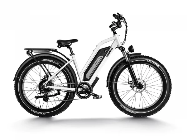 Himiway D3  Cruiser ST E – Elektrische MTB