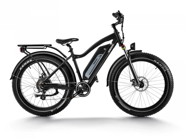 Himiway D3 Cruiser Elektrische MTB Zwart