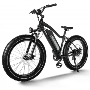 Himiway Cruiser – Lange afstand Fat Tire elektrische fiets 2