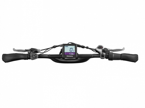 Himiway Escape Pro Elektrische Fatbike  Zwart