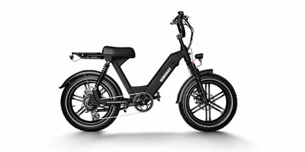 Himiway Escape Pro Elektrische Fatbike  Zwart