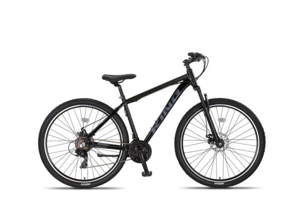 Altec King 29 inch MTB 2D Zwart  *** ACTIE ***