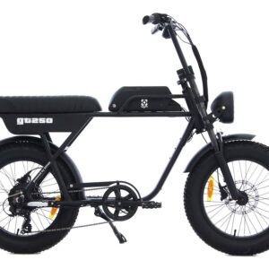 AGM GT250 Eelektrische Fatbike 250W 25km/h Zwart