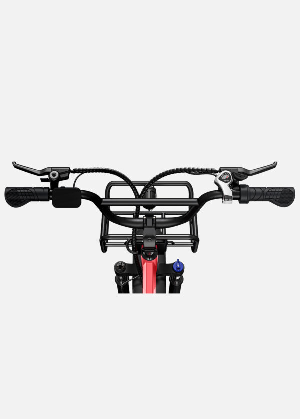 Engwe L20 Elektrische Fatbike EU Versie 20inch 25km/h 250W Avocado Groen – 2024
