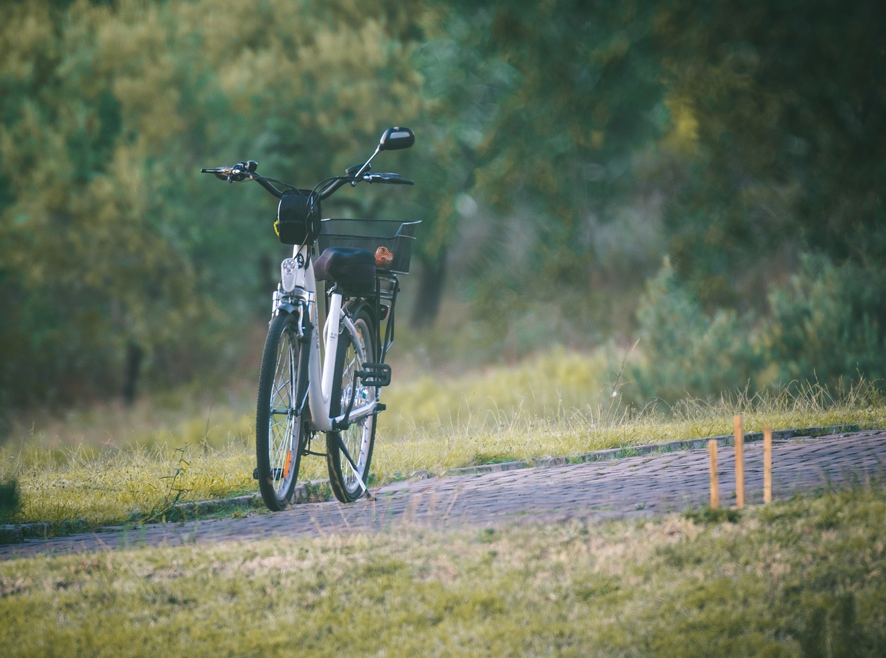 De voordelen van E-bikes