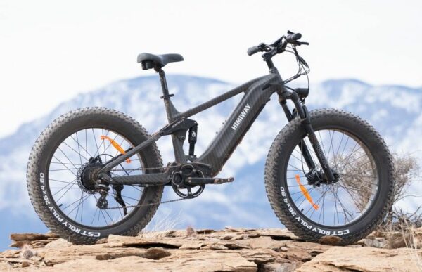 Himiway King Cobra E- Fatbike 7 Speed -2025