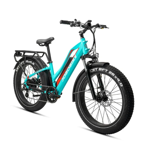 Jobobike Robin – Elektrische Fatbike 26inch 7V Blauw – 2025