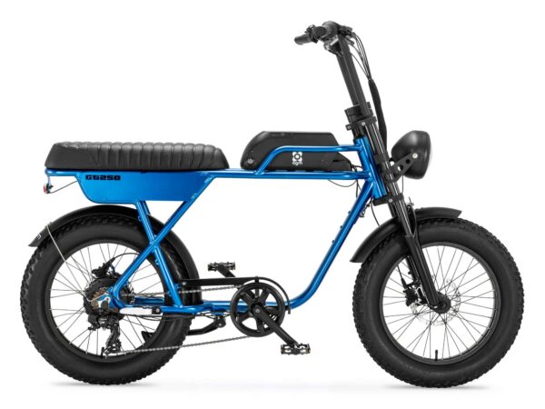 AGM GT250 Eelektrische Fatbike 250W 25km/h Blauw