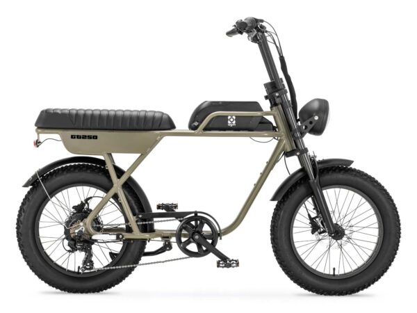 AGM GT250 Eelektrische Fatbike 250W 25km/h GROEN
