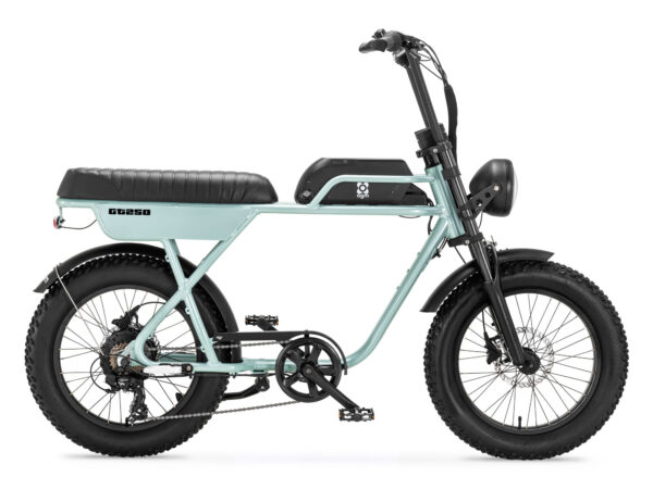 AGM GT250 Eelektrische Fatbike 250W 25km/h GRIJS