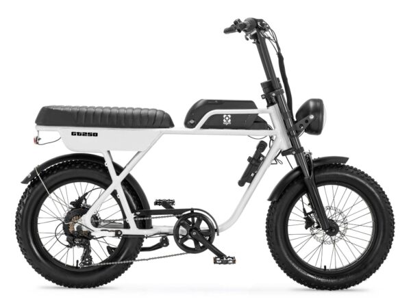AGM GT250 Eelektrische Fatbike 250W 25km/h WIT