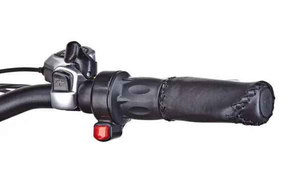 JOBOBIKE Eddy Fatbike 7V 20 inch opvouwbaar – Zwart