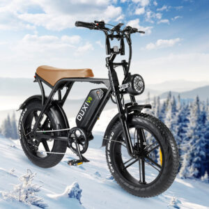 Ouxi V8 – Fatbike 25km/h 250Wh Zwart/Bruin 2024