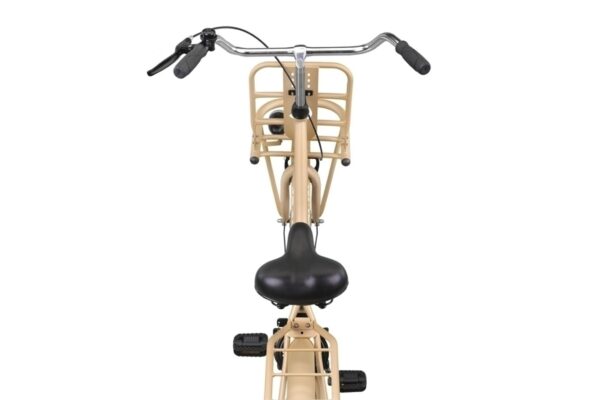 Holland 28inch Transportfiets 53cm Gold*** IN PRIJS VERLAAGD  ***