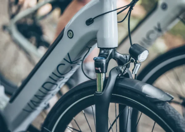 Van Dijck Triton E-bike Cool grijs glanzend