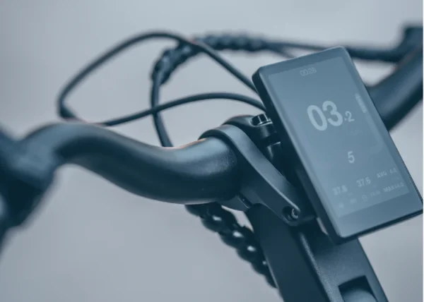 Van Dijck Triton E-bike Cool grijs glanzend