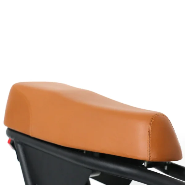 Windgoo F1 APP – Pedal -14inch 7.5Ah – Black/Brown