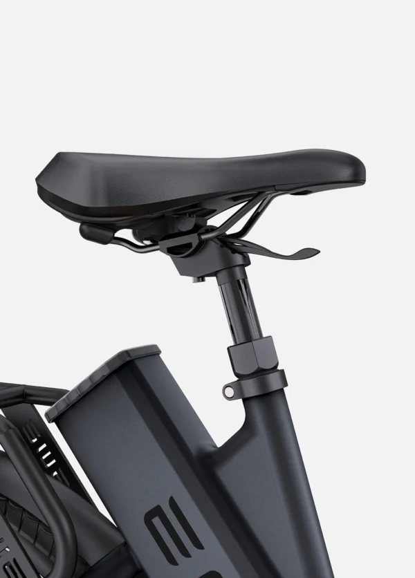 Engwe P275 ST Urban E-Bike 250W  MM EU Versie- Zwart 2024