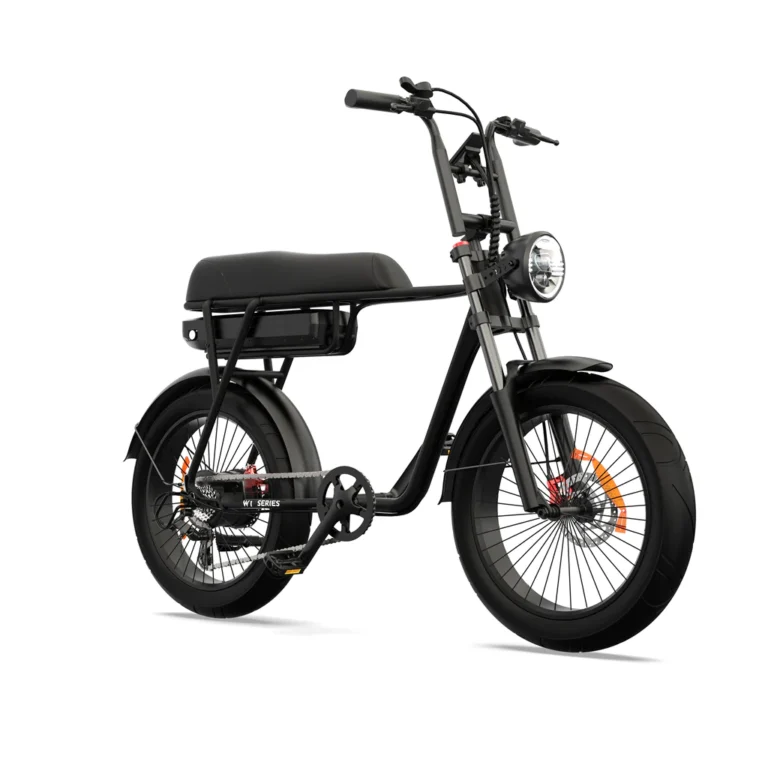 Pinscher W1 Elektrische Fatbike 20inch 7V 25km h Mat Zwart