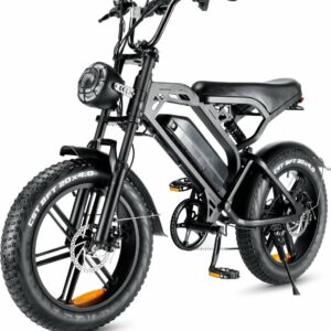 V20 Fatbike – 25km/h 250W Schijfremmen – Mat Zwart 2024