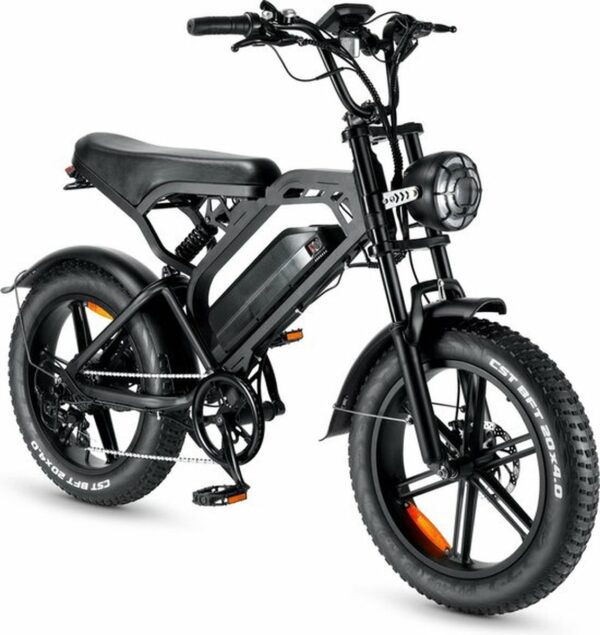 TWS V20 Pro 3.0 Fatbike – 25km/h 250W Hyd. Remmen – Mat Zwart 2025