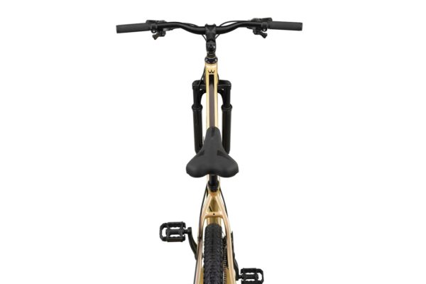 Altec King 29 inch 2D MTB Gold