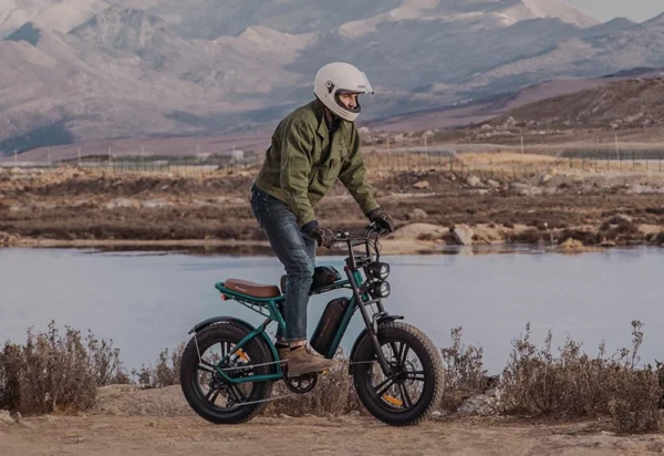 ENGWE M20 FatBike Dubbele Accu Groen