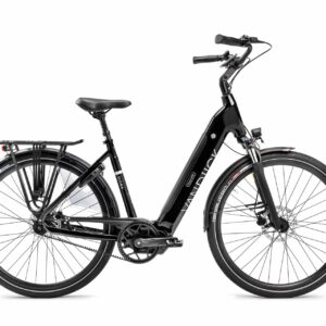VanDijck Triton Hypershift Belt E-bike
