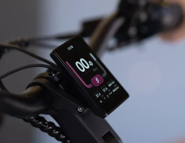 VanDijck Triton Hypershift Belt E-bike