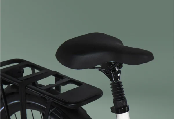 VanDijck Triton Hypershift Belt E-bike
