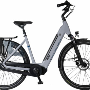 Van Dijck Triton Hypershift E-bike grijs