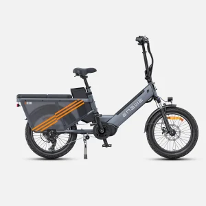 ENGWE LE20 Longtail Mid-Drive Cargo E-bike Grijs