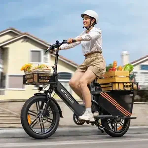 ENGWE LE20 Longtail Mid-Drive Cargo E-bike Grijs