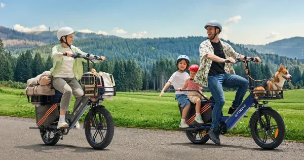 ENGWE LE20 Longtail Mid-Drive Cargo E-bike Grijs