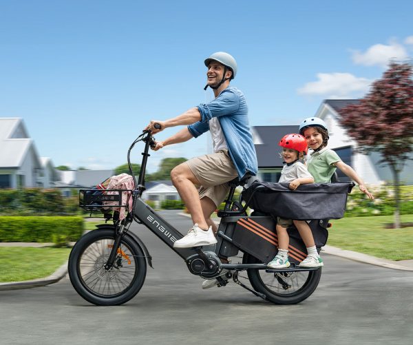 ENGWE LE20 Longtail Mid-Drive Cargo E-bike Grijs