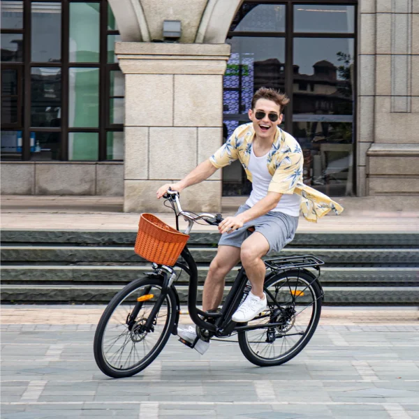 DYU C6 26 inch elektrische stadsfiets Wit