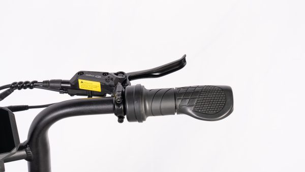 TWS V20 Pro Mini Fatbike – Zwart