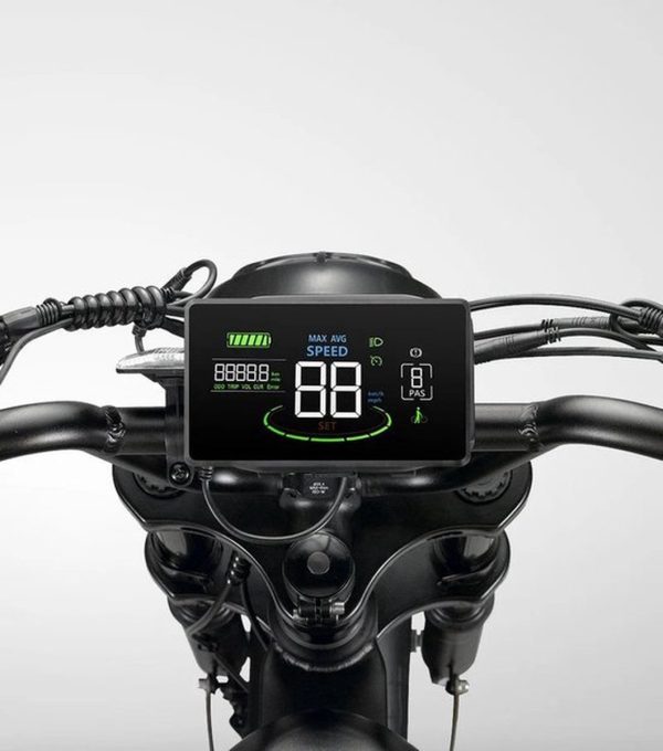 V20 PRO 3.0 – Fatbike – E Bike Met Voetsteuntjes – Alarm – Voorrek Grijs