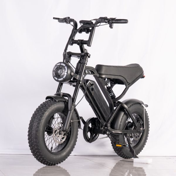 TWS V20 Pro Mini Fatbike – Zwart