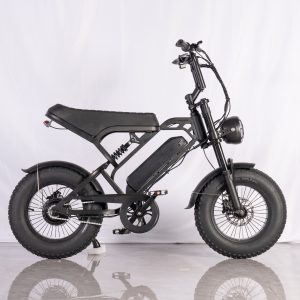 TWS V20 Pro Mini Fatbike – Zwart