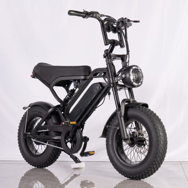 TWS V20 Pro Mini Fatbike – Zwart
