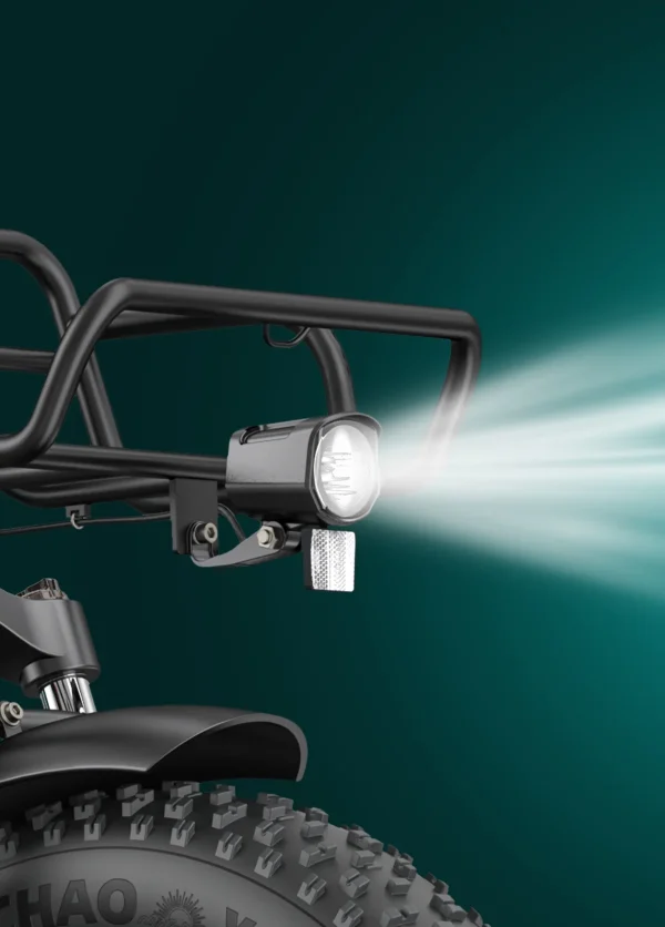 ENGWE L20 Boost E-Bike EU – Zwart