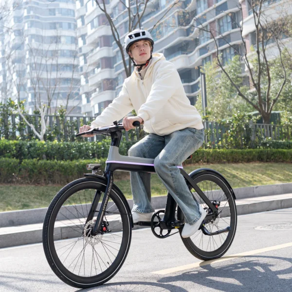 HITWAY E-bike X