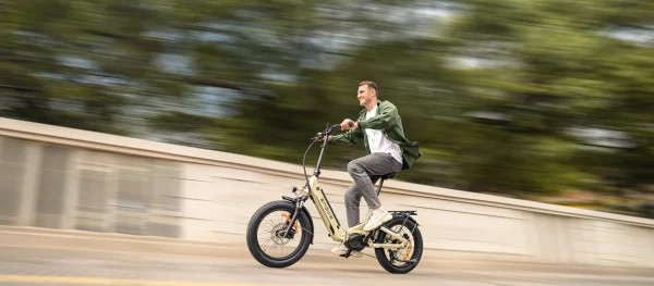 ENGWE L20 3.0 Pro Full Suspension Compact E-Bike Zwart