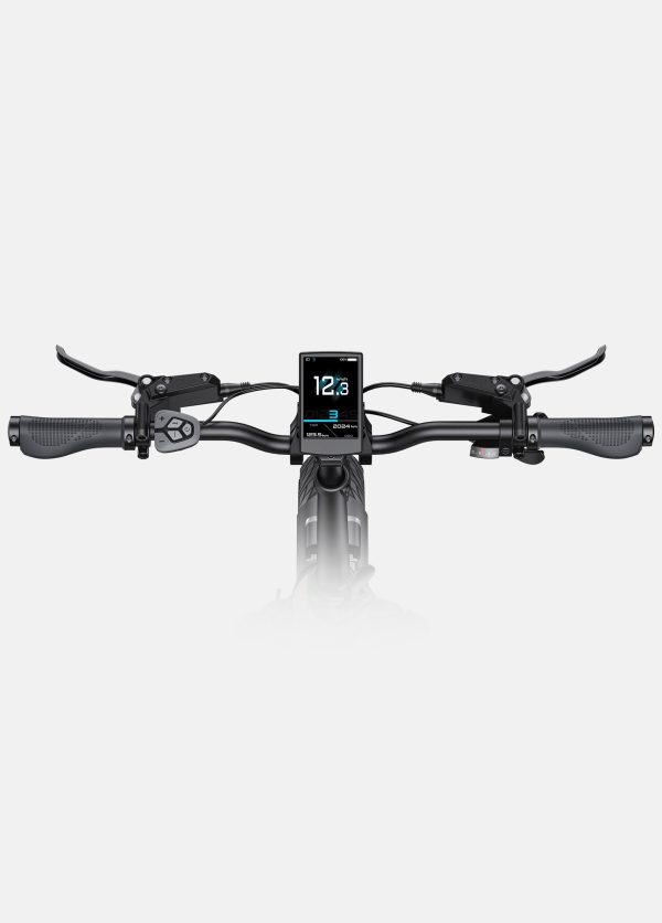 ENGWE L20 3.0 Pro Full Suspension Compact E-Bike Zwart