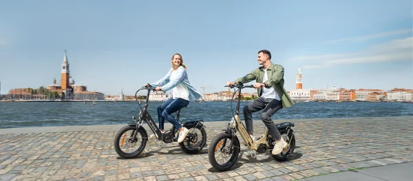 ENGWE L20 3.0 Pro Full Suspension Compact E-Bike Zwart