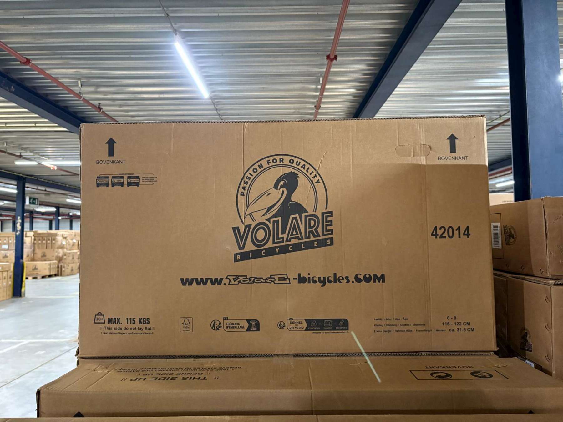 Volare Rocky Kinderfiets – 20 inch – 3 speed – Groen/Grijs Volare Rocky Kinderfiets – 20 inch – 3 speed – Groen/Grijs